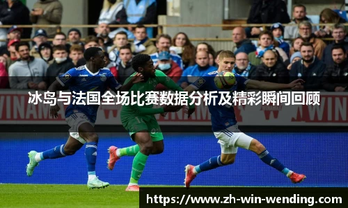 冰岛与法国全场比赛数据分析及精彩瞬间回顾